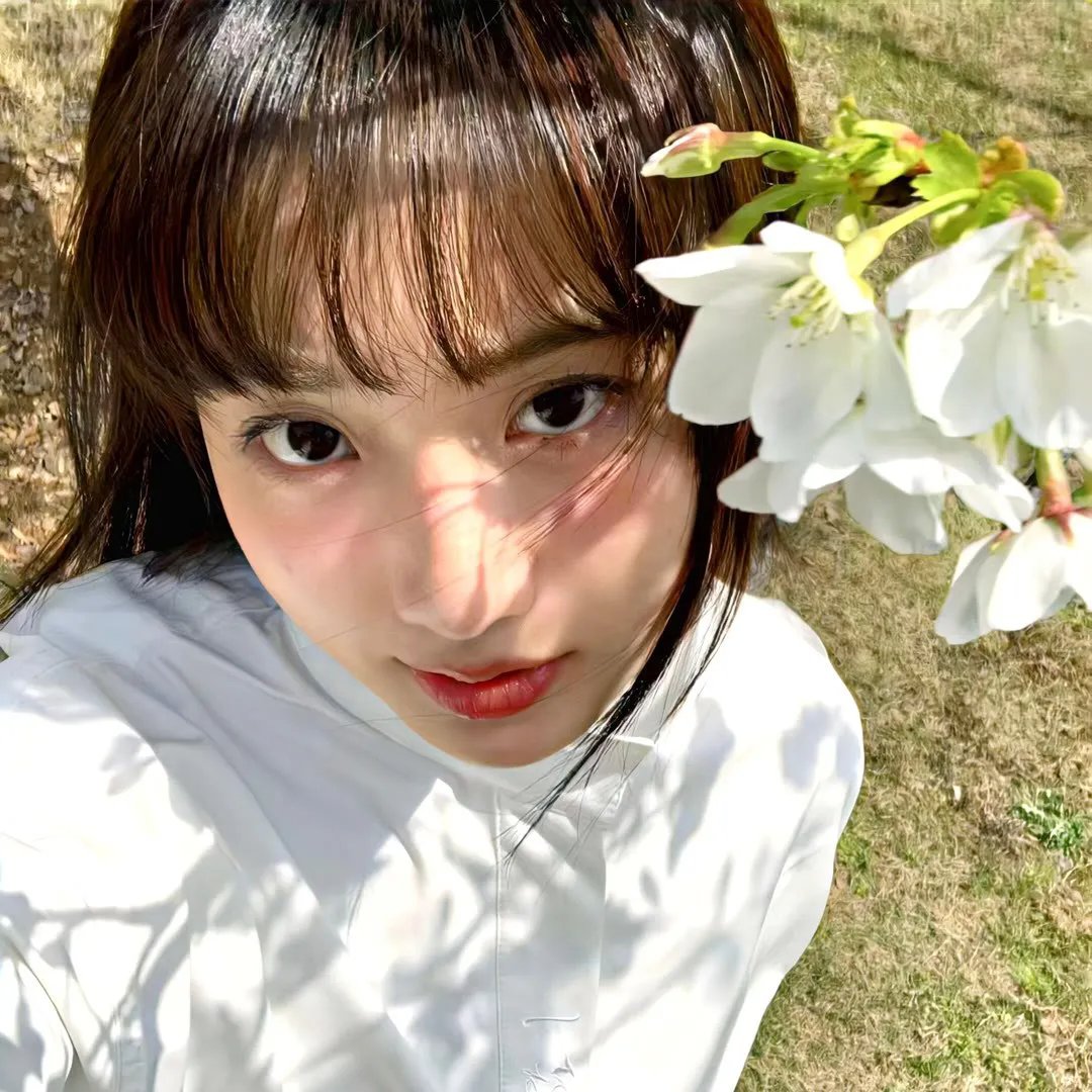 宇宙怪兽加美拉免费在线观看