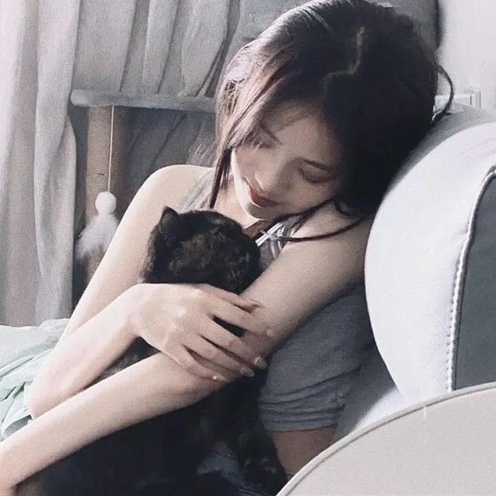 十二猴子免费在线观看